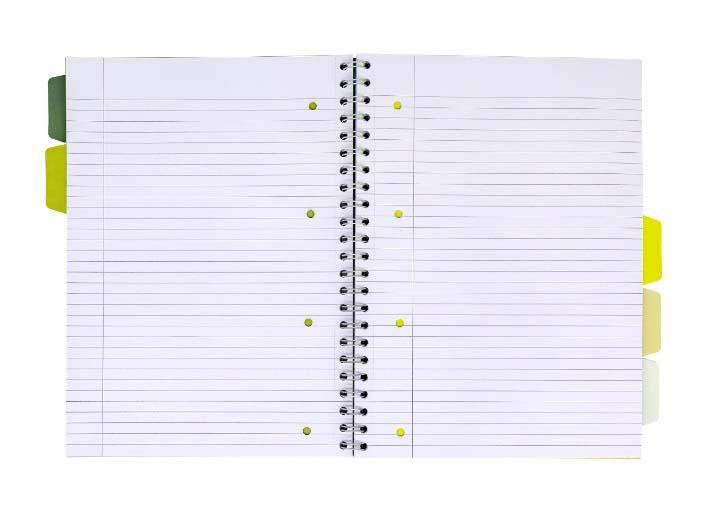 Kołozeszyt A4/100k. li Project Book z recyklingu zielony Pukka Pad [6050-REC]
